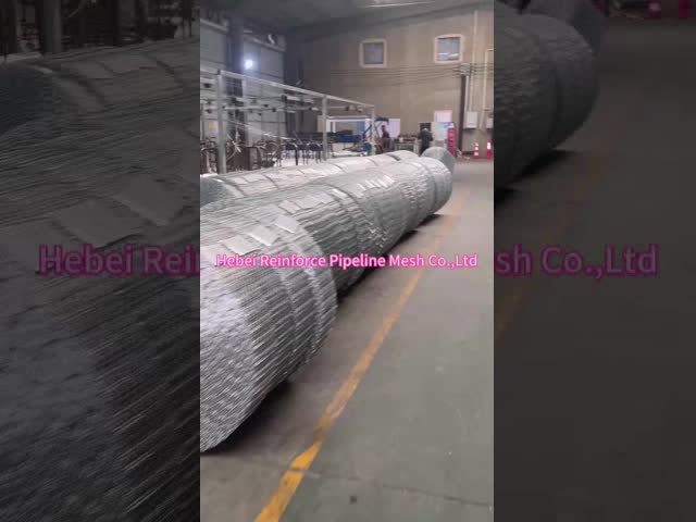 High Strength CWC Mesh Anti Corrosion Eight Lines Hot Dipped Galvanized Pipeline Coating Mesh