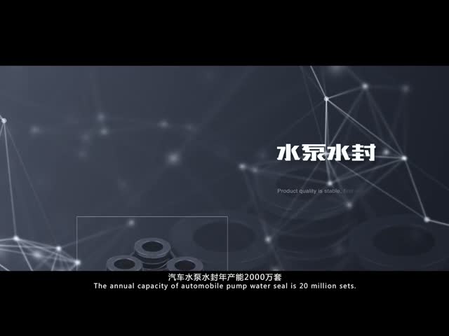 NBR Auto Water Pump Mechanical Seal with 12mm Shaft Diameter 30mm