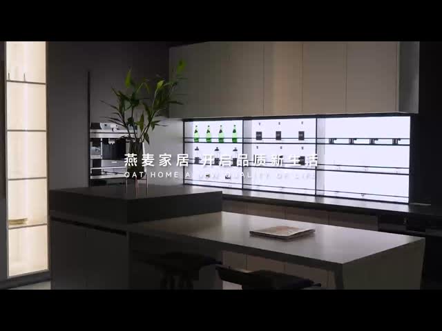 Brushed 201SS Stainless Steel Kitchen Unit Wine Cabinet Furniture