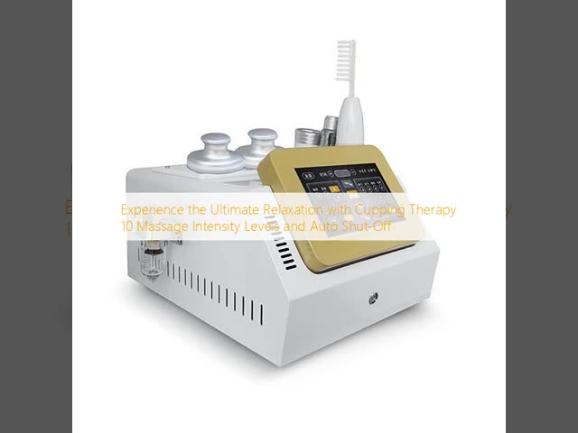 110V - 240V Meridian Massager Electric Operation Warm Function Pain Relief Massage Gun
