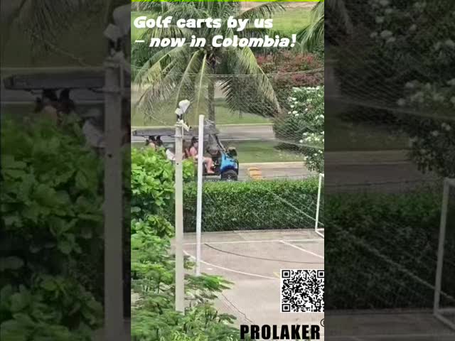 Four Row 8-11 Seat Sightseeing Vehicle BS-4R-La Semi Closed On Sale