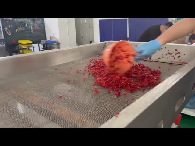 Chopped Chili Sause Sorting
