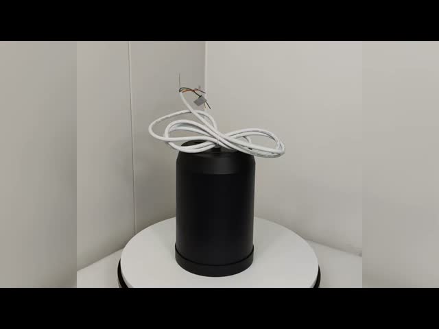 IP55 Full Range Hanging Speaker 5 Inch Commercial Pendant Speakers 2m Line