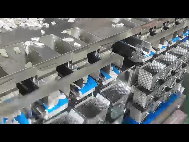 50g-2000g 3-layer 8 Head Fresh Food Weigher Shark Fin Pillow Bag Weighing and Packaging Machine