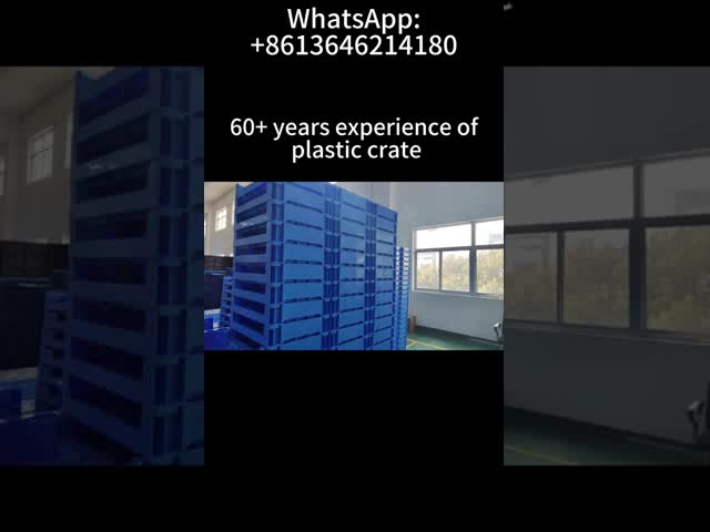 Internal Size 565*365*215mm PP Industrial Stackable Foldable Plastic Box Storage Crate