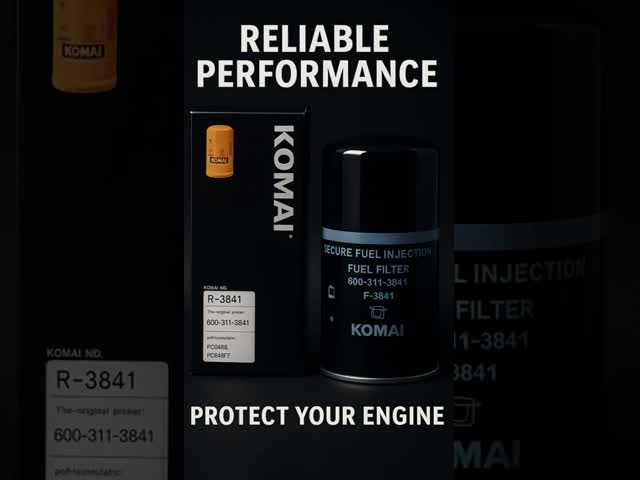 Filtre à carburant P502480 SN21610 SK3734 6003113840 Pour PC460LC-8 PC550LC-8 vidéo