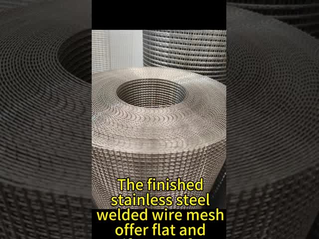 New product min hole 5mm Stainless Steel Welded Mesh