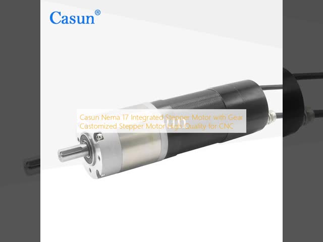 Casun Nema 23 BLDC Motor with Reduction Gearbox 3000RPM 0.6N.m Motor for Automation
