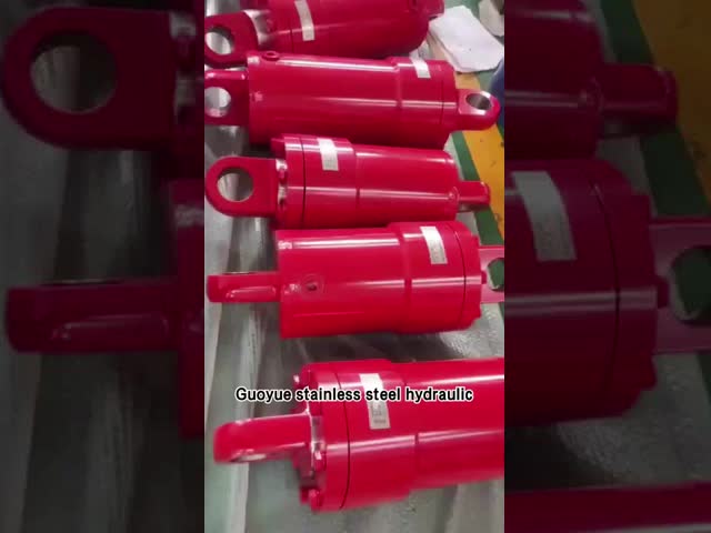 Hydraulic Oil Cylinder for Water Conservancy Stainless Steel Hydraulic Cylinder