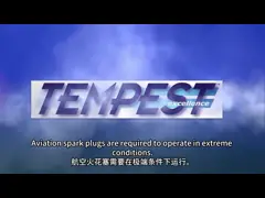 Tempest Aviation Spark Plugs for Aircraft Engines