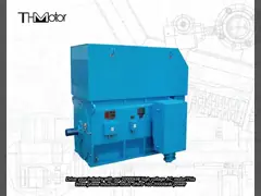 China Large Scale 300r/Min TMW Brushless Synchronous Motor 10 KV IEC GB supplier