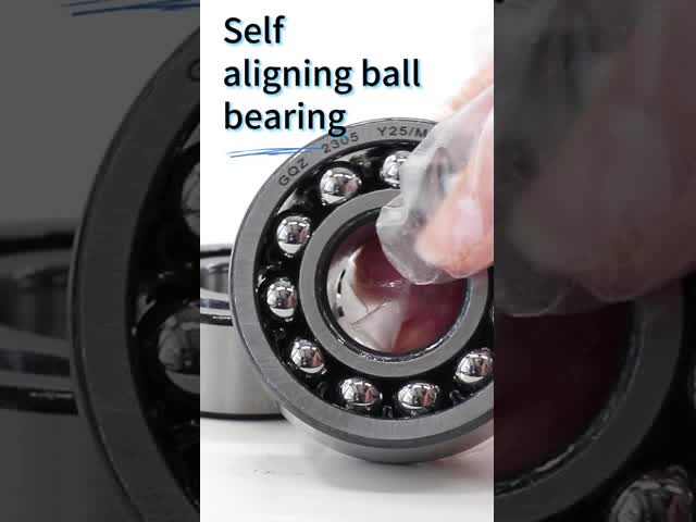 Double Row 2304-TN9 2304-M 2304-2RS-TVH 2304-2RS-TN 2305 2304 Self-aligning Ball Bearing