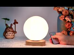 Dimmable Daylight Therapy Lamp 2700K 4000K 6000K Moon Shaped Lights