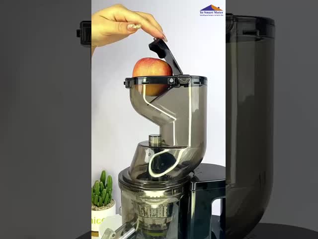 500W Automatic Fruit Juicer Multifunctional 500ml White Fruit Juicer Machine