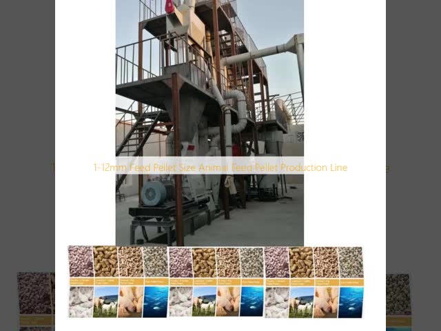 1-12mm Feed Pellet Size Animal Feed Pellet Production Line