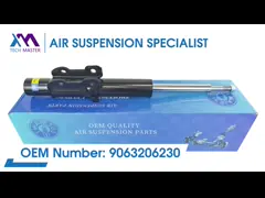 Rubber Steel Aluminum Air Suspension Shock For Ford F150 SVT Raptor STX XLT 2010-2016