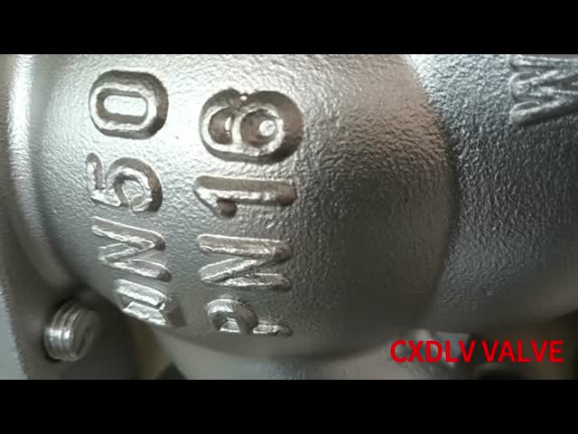Non Slam Stainless Steel Lift Type Check Valve DN50 PN16 Flange Connection