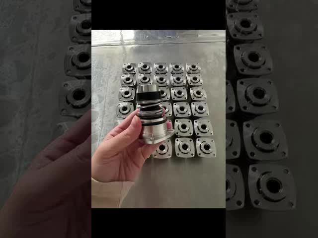 Mechanical Seal For Ebara Evms , Evmsg Evmsl Pumps 12mm 16mm 25mm