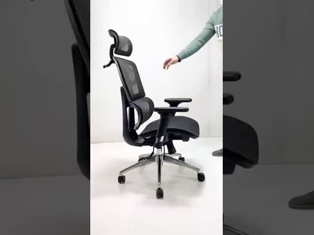 Full Mesh Swivel Ergonomic Office Chair With Lumbar Protection High Back