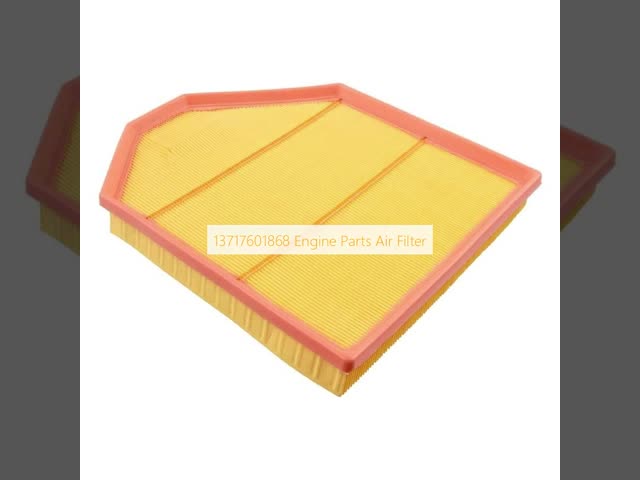 13717601868 Engine Parts Air Filter