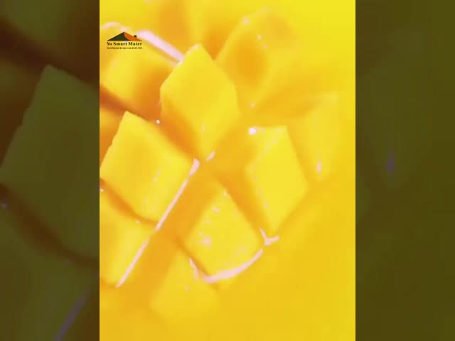 Multi Functional Commercial Blender Machine 2L 800W For Household