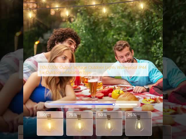 110V/220V Output Voltage Outdoor Lights Waterproof IP44 for Outdoor Installation Type