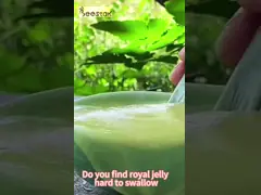 1.8% 2.0% 10-HDA Natural Bee Royal Jelly Pure Organic Royal Jelly