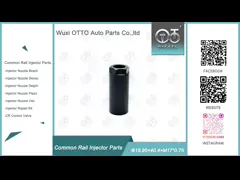 China DLLA155P960 Denso Common Rail Nozzle For Toyota Injectors 095000-668# supplier