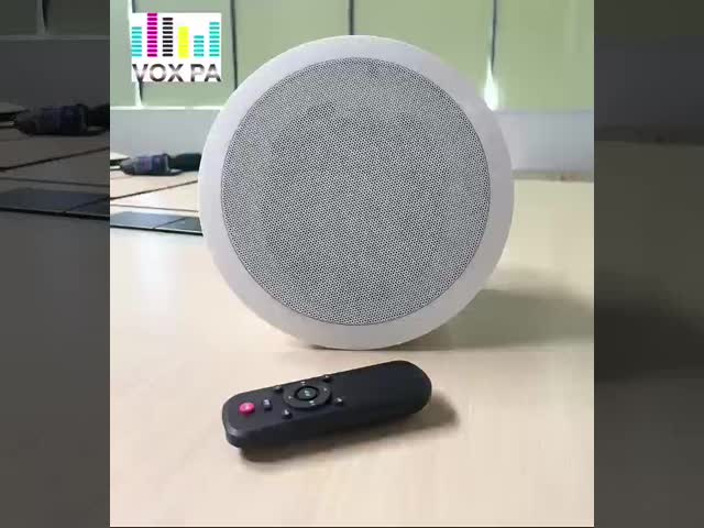 6 Inch Coaxial Ceiling Speaker Active Speaker 30W 15V/2A Bluetooth USB ABS with Remote Controller