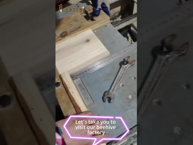 Apiculture 8 frame 10 frame Bee Hive Holder