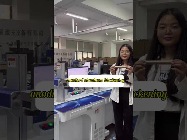 Cost-effective Dual-head Laser Marking Machine with Efficiency Equivalent To Two Standalone Machines Saves Cost And Space