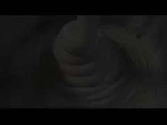 GP Silicone Acetic Cure Adhesive Sealant 300mL - Compatible with PVC Construction Materials and Steel silicone sealant