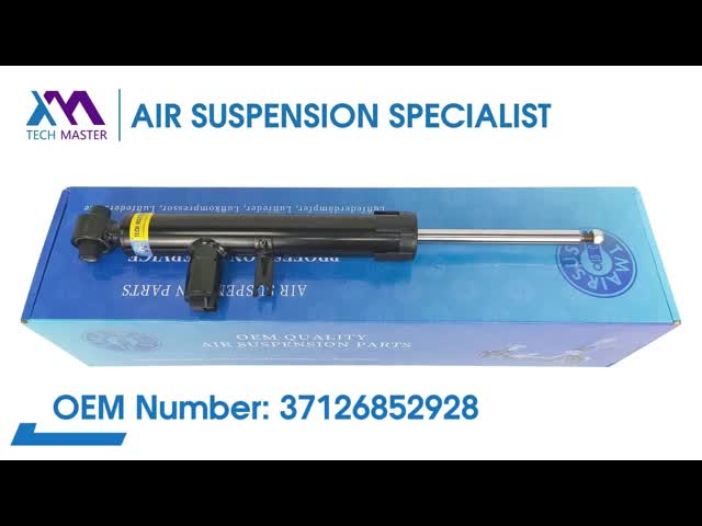Front Left Air Suspension Shock Suit Nissan Armada Infiniti QX56 2010-2021 E61006JE7A