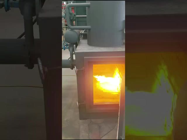 100KG pet cremation incinerator 2000 x 1400 x 3500mm gas filtration dog poop incinerator
