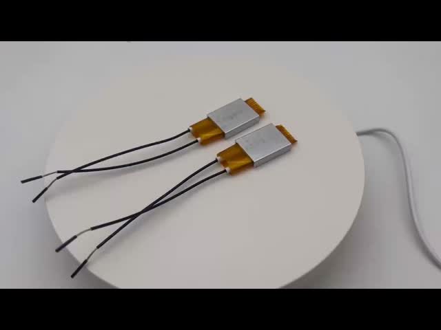 appareil de chauffage de plat de dc 60x28mm à C.A. de 12V 24V 36V 48V 110V 220V vidéo