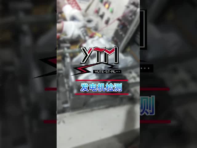 YTM Alternator Factory Inspection