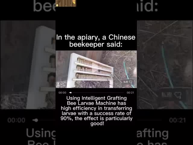 Queen Bee Artificial Insemination Equipment Standard Version with Kits for Agricultural Experiment