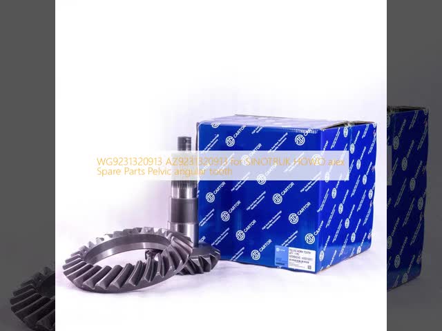 WG9231320913 AZ9231320913 pour SINOTRUK HOWO alex Pièces détachées vidéo