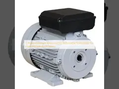 3 Phase Induction Motor 220V/380V/440V/550V/660V for High Voltage Applications