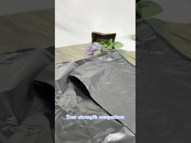 30x22cm PVC Zipper Bag with High Transparency and Custom Logo Available for Stationery Packaging