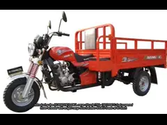 Fuel Motorized 200CC Cargo Tricycle China Three Wheeler With Light Cargo Box