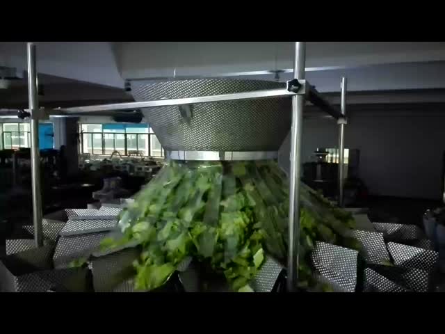 Pumpkin Seed Premade Bag Packing Machine Zipper Pouch Weighing And Packing Machine