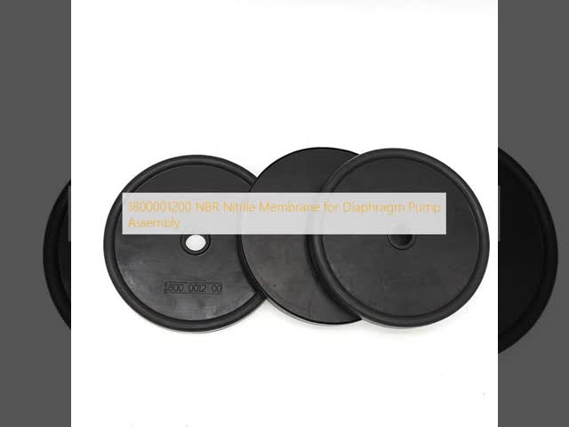 Sealed Isolation Membrane Gasket Diaphragm For AR30 AR40