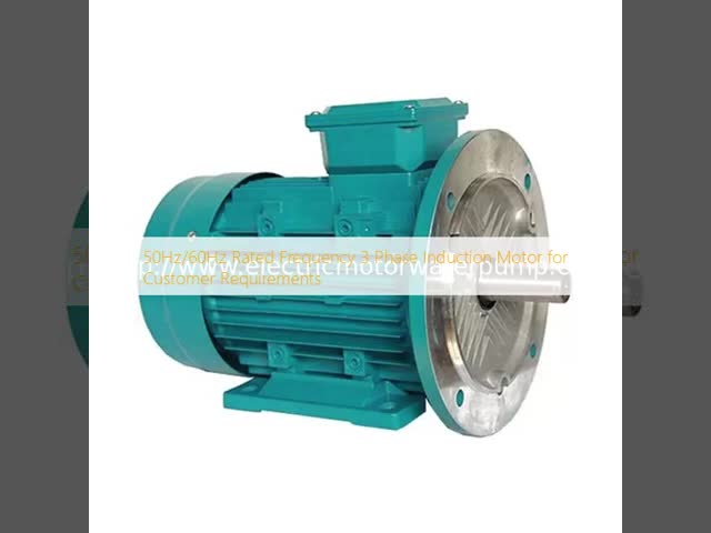 50Hz/60Hz Rated Frequency 3 Phase Induction Motor for Customer Requirements