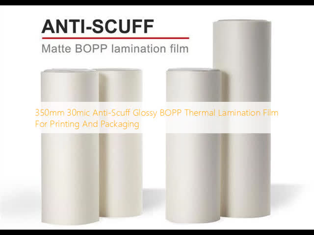350mm 30mic Anti-Scuff Glossy BOPP Thermal Lamination Film For Printing And Packaging