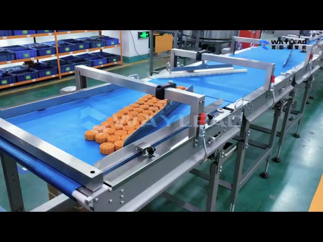 Pillow Packing Machine FDA-Compliant Sealing for Perishables/Premium FMCG Products