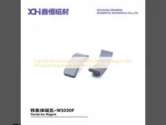 China High-Performance Permanent Magnet Ferrite With High Coercive Anisotropy supplier