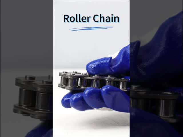Standard Precision C2040 25.4mm Stainless Steel Anti Corrosion Pitch Roller Chain For Conveyor Industrial Use