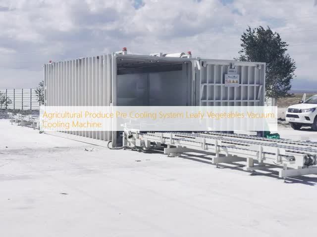 Agricultural Produce Pre Cooling System Leafy Vegetables Vacuum Cooling Machine