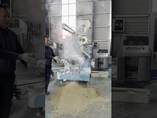 Floating Fish Feed Dog Pet Food Extruder Manufacturers  250kg/H English Manual CE & ISO Certificate